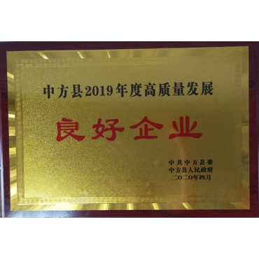 2019年高質量發展良好企業